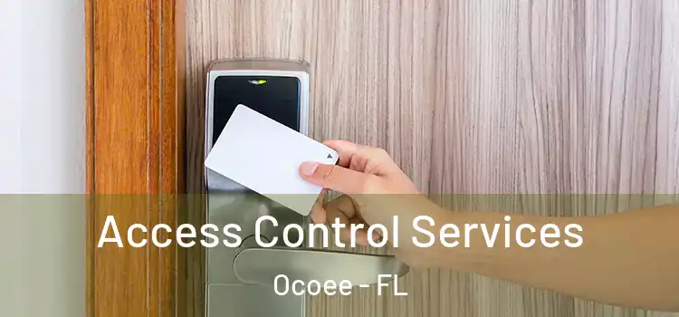 Access Control Services Ocoee - FL