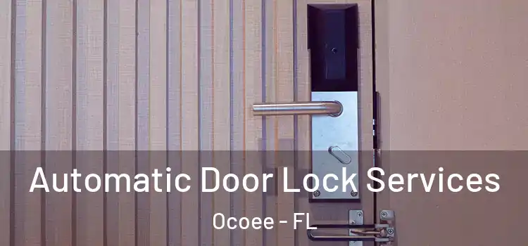 Automatic Door Lock Services Ocoee - FL