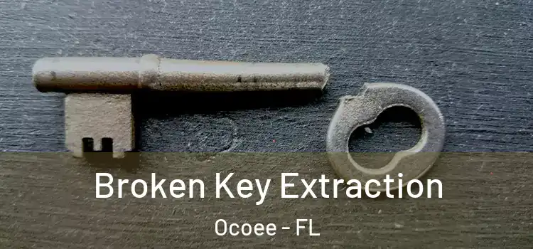 Broken Key Extraction Ocoee - FL