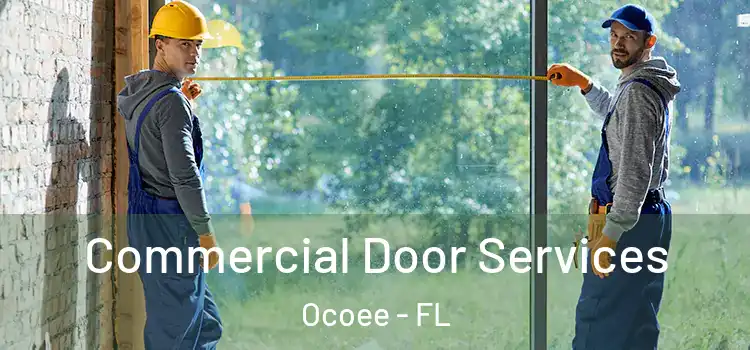  Commercial Door Services Ocoee - FL