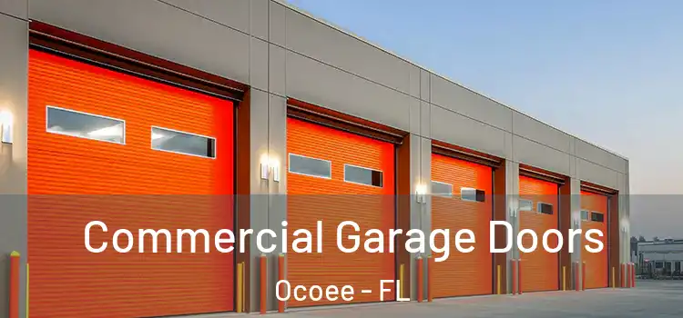  Commercial Garage Doors Ocoee - FL