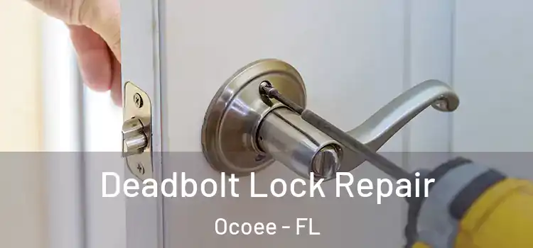  Deadbolt Lock Repair Ocoee - FL