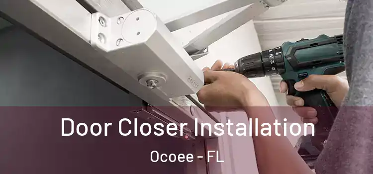  Door Closer Installation Ocoee - FL