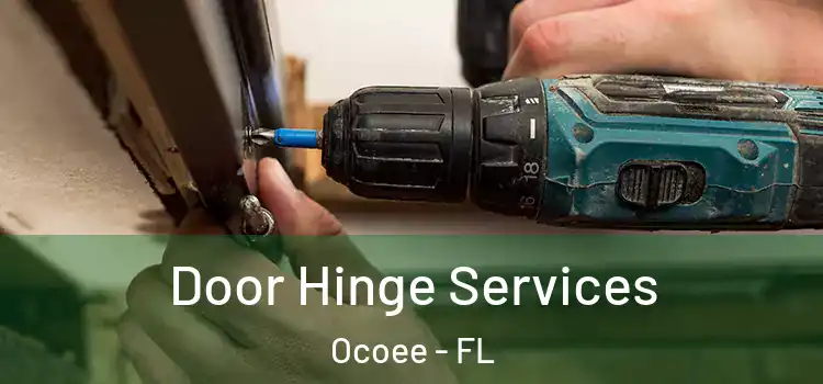 Door Hinge Services Ocoee - FL