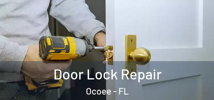  Door Lock Repair Ocoee - FL