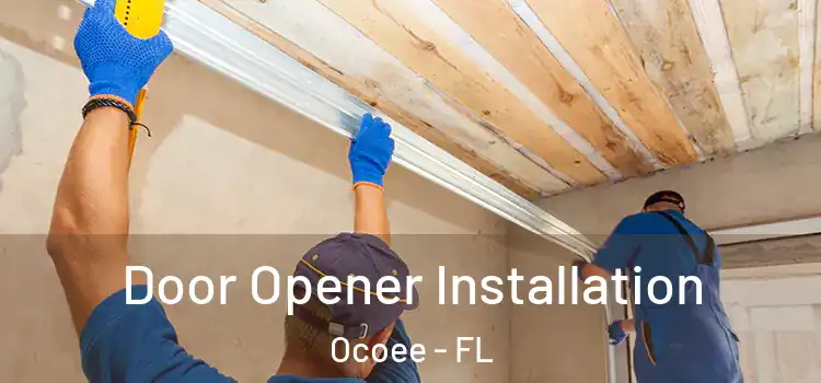  Door Opener Installation Ocoee - FL