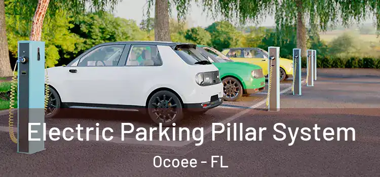  Electric Parking Pillar System Ocoee - FL