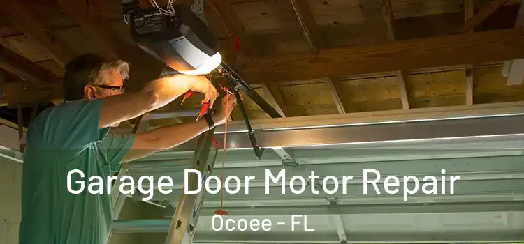  Garage Door Motor Repair Ocoee - FL