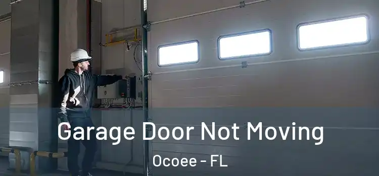  Garage Door Not Moving Ocoee - FL
