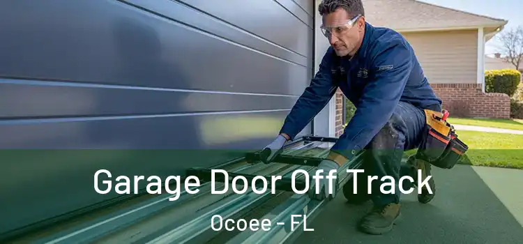  Garage Door Off Track Ocoee - FL