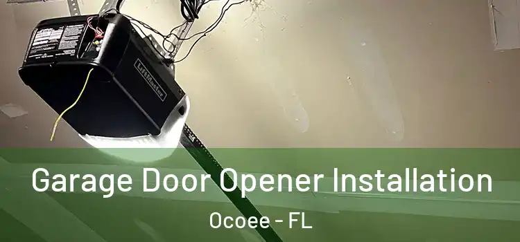  Garage Door Opener Installation Ocoee - FL