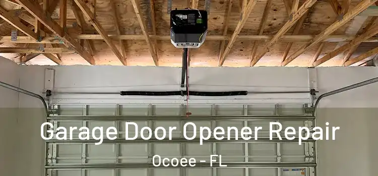  Garage Door Opener Repair Ocoee - FL