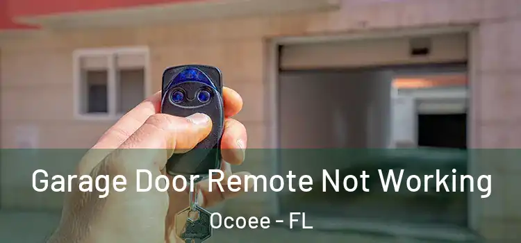  Garage Door Remote Not Working Ocoee - FL