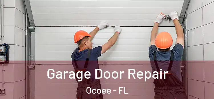  Garage Door Repair Ocoee - FL