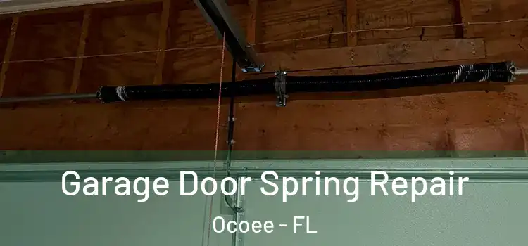  Garage Door Spring Repair Ocoee - FL