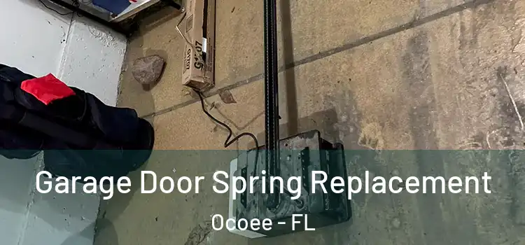  Garage Door Spring Replacement Ocoee - FL