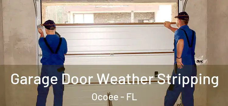  Garage Door Weather Stripping Ocoee - FL
