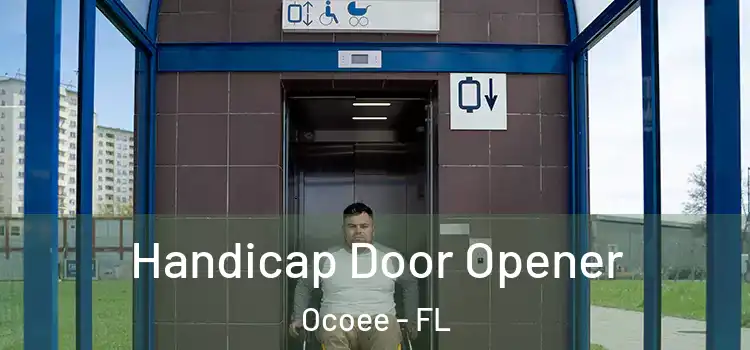  Handicap Door Opener Ocoee - FL