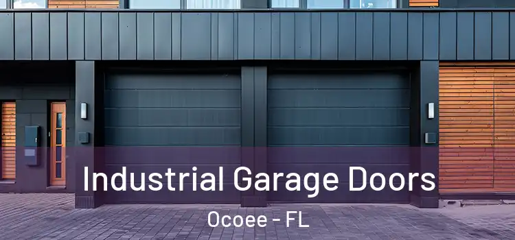 Industrial Garage Doors Ocoee - FL