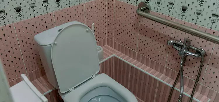 Meeting Diverse Needs With Accessible Restroom Solutions in Ocoee, FL