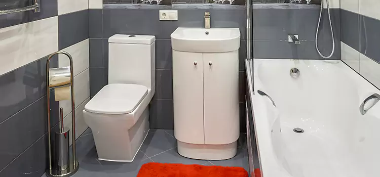 Hansgrohe Shaving Mirror Ocoee