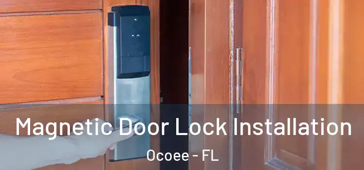  Magnetic Door Lock Installation Ocoee - FL