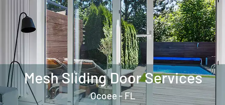  Mesh Sliding Door Services Ocoee - FL