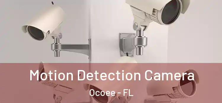  Motion Detection Camera Ocoee - FL