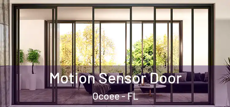 Motion Sensor Door Ocoee - FL