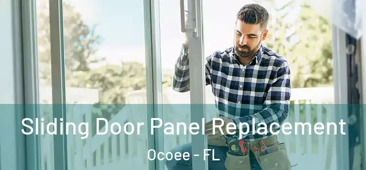  Sliding Door Panel Replacement Ocoee - FL