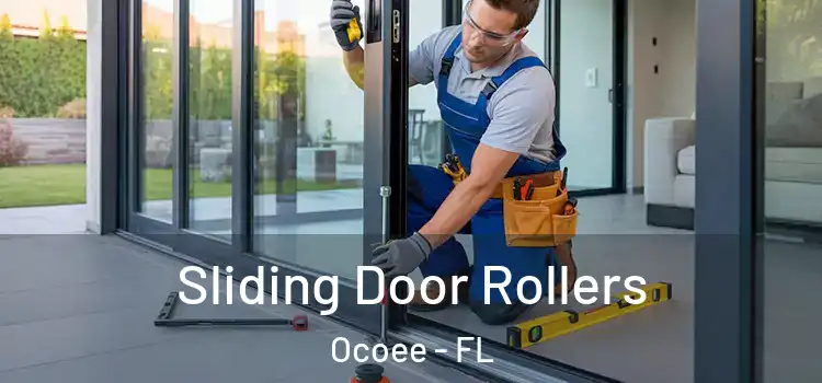  Sliding Door Rollers Ocoee - FL
