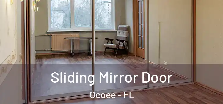  Sliding Mirror Door Ocoee - FL
