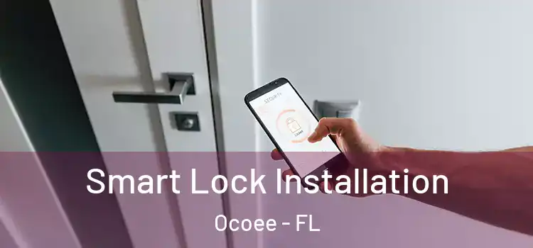 Smart Lock Installation Ocoee - FL