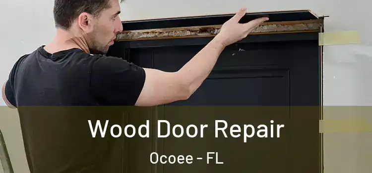 Wood Door Repair Ocoee - FL