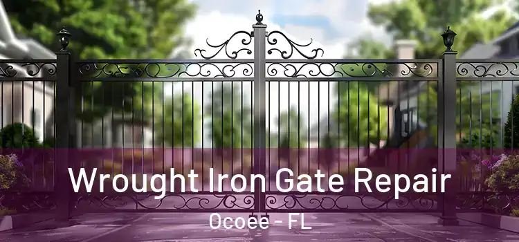 Wrought Iron Gate Repair Ocoee - FL